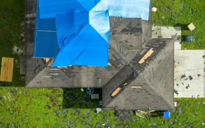 5 Main Signs Of A Roof Leak + Next Steps